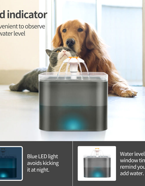 Load image into Gallery viewer, 2L Pet Dog Cat Water Fountain Automatic LED Auto Dish Drinking Dispenser Bowl
