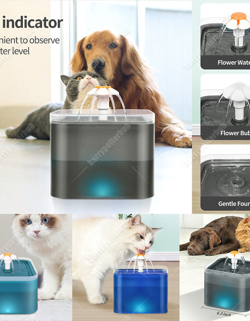 Load image into Gallery viewer, 2L Pet Dog Cat Water Fountain Automatic LED Auto Dish Drinking Dispenser Bowl
