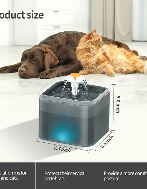 Load image into Gallery viewer, 2L Pet Dog Cat Water Fountain Automatic LED Auto Dish Drinking Dispenser Bowl
