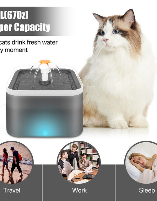 Load image into Gallery viewer, 2L Pet Dog Cat Water Fountain Automatic LED Auto Dish Drinking Dispenser Bowl
