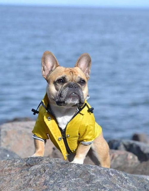 Load image into Gallery viewer, Yellow Zip up Dog Raincoat with Reflective Buttons, Pockets, Rain/Water Resistant, Adjustable Drawstring, &amp; Removable Hood - Size XS to XXL Available - Stylish Premium Dog Raincoats by Ellie (M)
